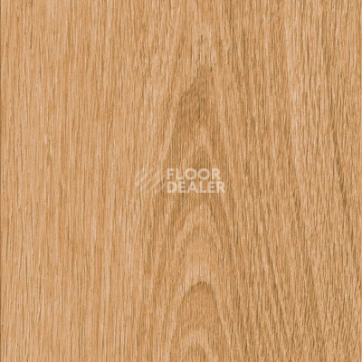 Кварцвиниловые полы AW Invictus Maximus Plank 2.5 мм Highland Oak Classic фото 1 | FLOORDEALER
